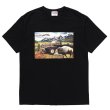 画像1: PORKCHOP GARAGE SUPPLY | F-100 TEE  (1)