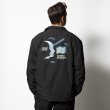 画像12: ROARK REVIVAL (ロアーク リバイバル) | "AURORA" COACHES JACKET  (12)