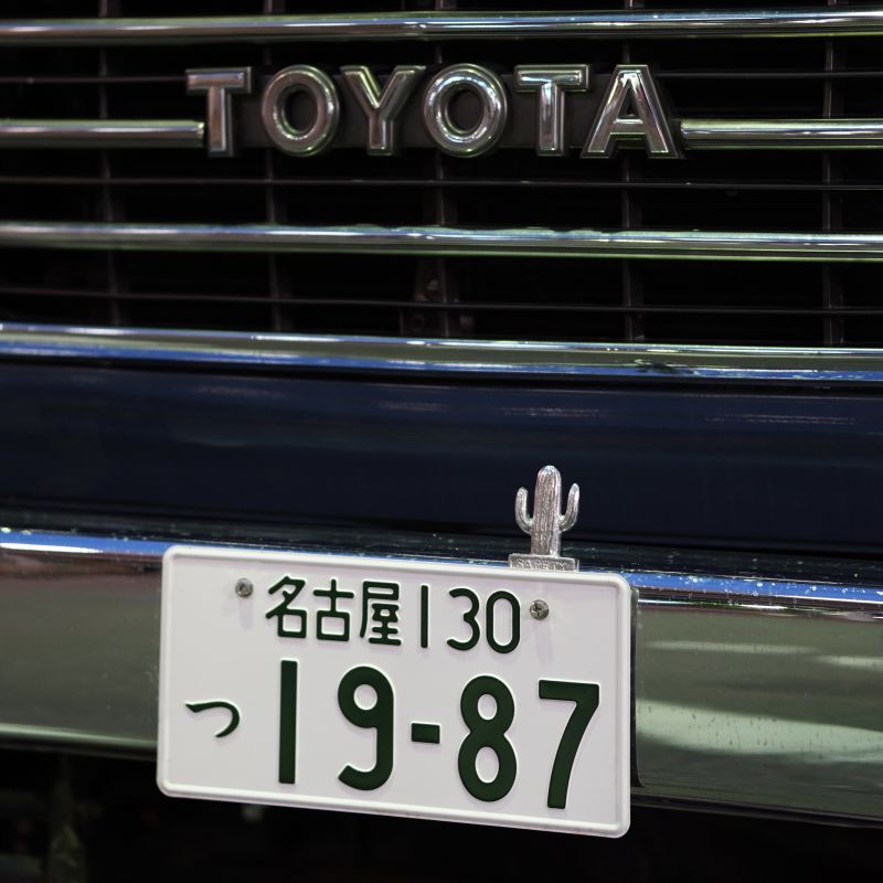 画像4: THE FEVER INC | LICENSE PLATE TOPPER CACTUS  (4)